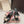 DG Rainbow Slingbacks Black Patent Leather 663071