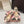 DG Rainbow Slingbacks Beige Patent Leather 663075