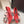 DG Pumps Crystals 9cm Red Taormina Lace 663084