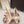 DG 26s Pumps Crystals 9cm Beige Taormina Lace 663088