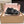 Miu 26s Velcro Sandals Black Nylon Suede 632329