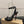 CL Miss Z Sandal 12cm Black Cowhide 828156