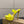 CL 2026 Just Loubi 14.5cm Mules Yellow PVC Lambskin 828178