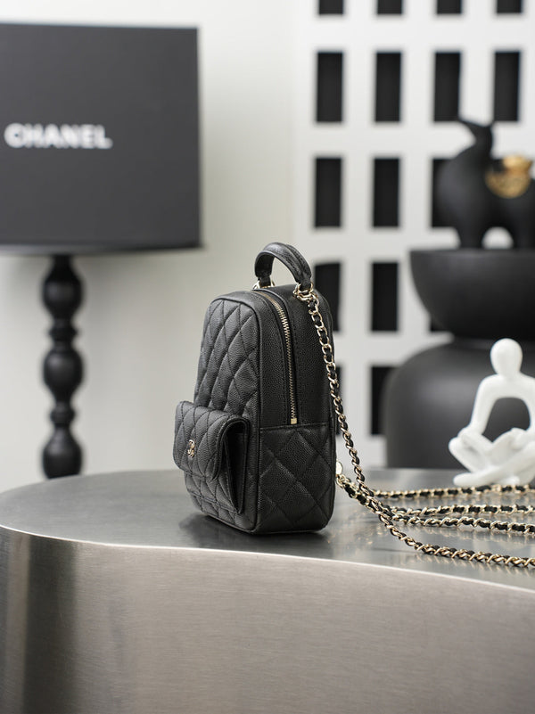 CC 𝑨𝑷𝟑𝟕𝟓𝟑 Mini Backpack Black Caviar