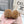 MiuMiu 25 Ballet Flat Brown Lambskin Wool 535593