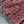 CD 25 Jacquard Patterned Jacket Set Red Polyester
