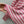 CD Navy Style Collared Sweater Pink Wool