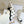 CD 26s Knit Sock Ankle Boots White Polka Dot Knit Velvet 122080