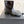 CC 26s Ankle Boots Black Patent Leather 122044