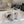 CC 26s Platform Stiletto Sandals 13cm White Sheepskin 723713