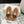 THONG SANDAL IN BRONZE BROWN CALFSKIN
