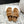 DAD SANDAL MULE IN CAMEL BROWN SHEARLING