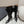 Alaila High Boots 60mm In Black Calfskin 916745