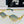 TRIOMPHE SEMI-RIMLESS SUNGLASS CL42117U IN METAL OCTAGON LENSES