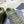 CD B33 Sneaker 30mm In Grey Green Monogram Calfskin 100556