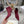 CD Tribales Heeled Ankle Boot 65mm In Burgundy Suede 996428