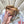 CC 26s Flap Bag 20 In Brown Lambskin