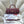 CC Maxi Flap Bag with Top Handle 31cm Burgundy Goatskin