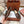 LP Dot sole walk mocassinown Syrup Brown Leather 215009