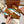 LP Dot sole walk mocassin Cocoa Suede 214999