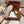 LP Dot sole walk mocassin Cocoa Suede 214999
