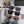 MONTAIGNE SUNGLASS D7230 IN ACETATE