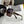 MONTAIGNE SUNGLASS CD6251 IN ACETATE