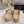 CC Slippers Beige Lambskin 145355
