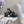 CC 26s Bow-Tie Sandals 6.5cm Black Lambskin 906127