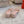 RC Pearl Slippers Pink Sheepskin 328431