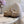 UGG Yupoo Loafers Khaki Wool Suede Mule Fleece Lining 516911