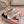 Miu Bicolor Cap-Toe Pump 7.5cm Black White Patent Leather 724262