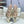 ROCKSTUD WISPY GOLD CALFSKIN MULE 60MM