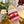 Valentino Sandales VLogo Multicolor Canvas 240578