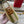 VLogo Signature Striped Espadrille Mules Beige Green Raffia