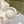 Loew Foam Slide White