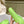 Loew Foam Slide Green