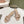 Miu x Balanc Studded Buckle Elegant Mules 45mm Beige Patent Leather 445869