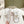 sandal leather strap white quilted calfskin