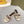 FENDI SIGNATURE MULE SLIDES IN WHITE FIBRE WITH BROWN EMBROIDERED LOGO