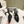 slingbacks 65 black calfskin pearl heel