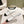 cc mule leather chain white calfskin black patent calfskin