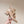 CC 24A Pearl Bow Ankle Boots 65mm Beige Sheepskin 447469