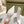 Jimmy Cycas Ankle Boot 90mm In White Lambskin 813450