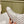ALAIA SHORT BOOTS IN WHITE LAMBSKIN ATTACH RHINSTONES