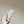 CC 25ss Pearl Thong Sandal Beige Velvet 461639
