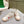 BV Eliot Sneaker White/Sea salt Cotton Calfskin 446197