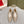 RC 25 Diamond Flat Sole Pink Nude Custom Lace 268058