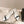 CC 25ss Bow Tie Slingbacks 20mm White Satin & Patent Leather 447409