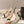 CC 25ss Bow Tie Slingbacks 85mm Beige Satin & Patent Leather 447413
